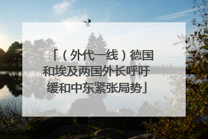 （外代一线）德国和埃及两国外长呼吁缓和中东紧张局势